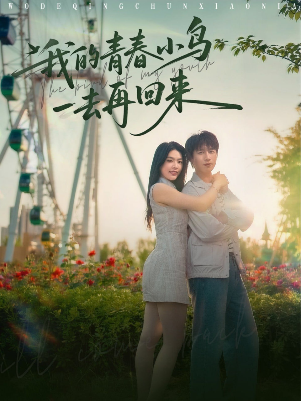 我的青春小鸟一去再回来