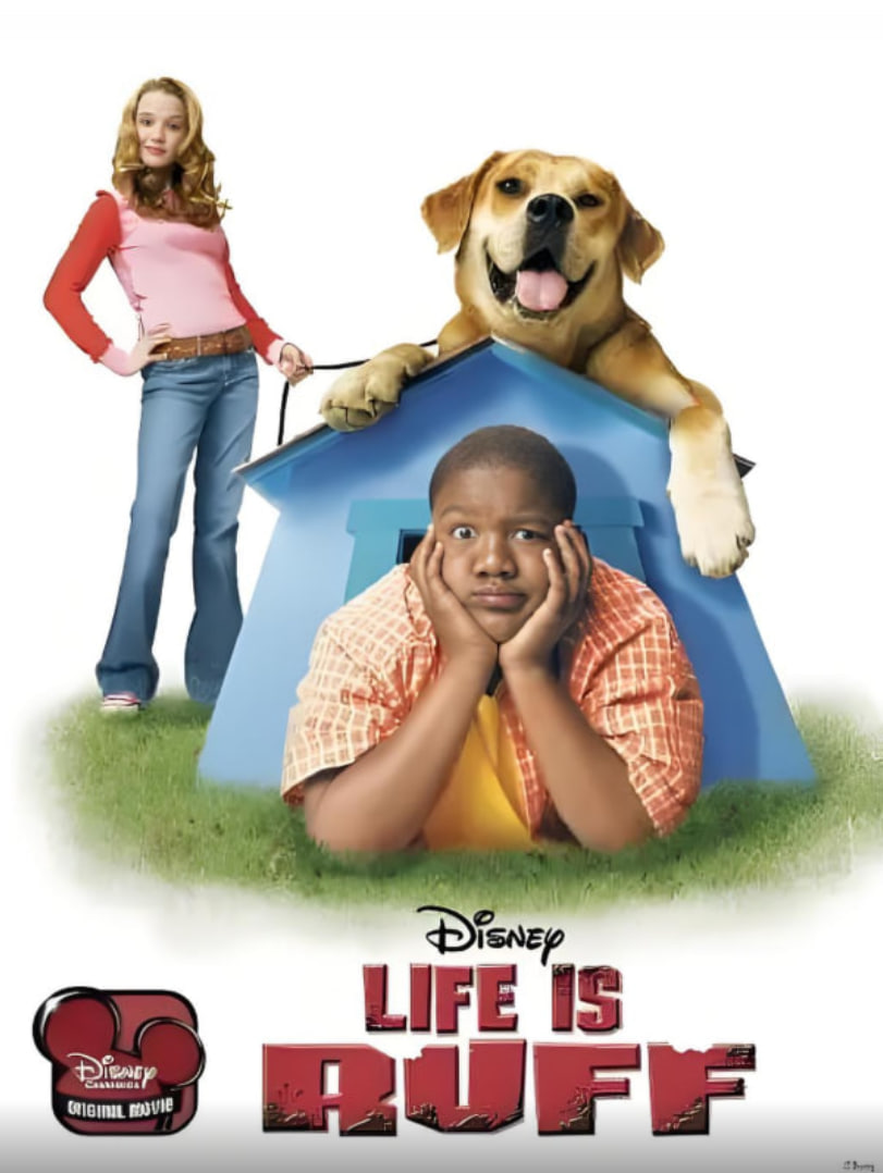 天才宝弟的狗日子