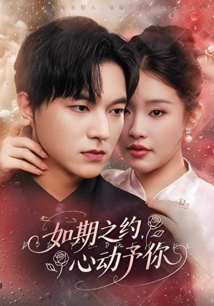 如期之约心动予你