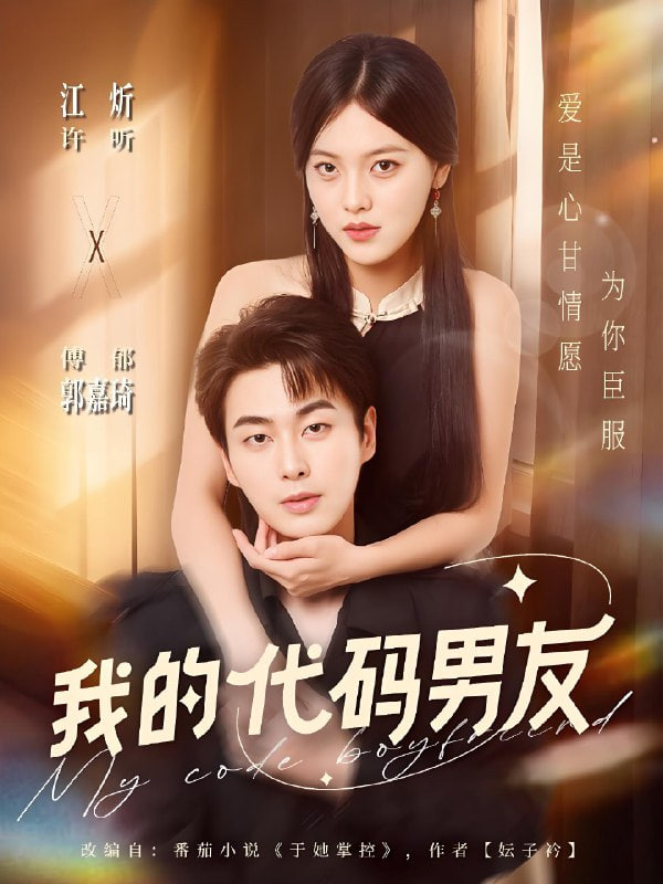 我的代码男友
