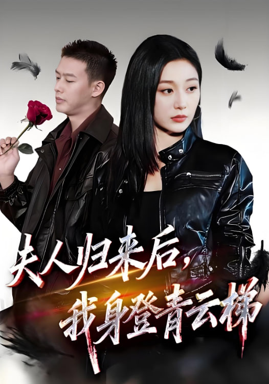 夫人归来后我身登青云梯（夫人助我踏巅峰）