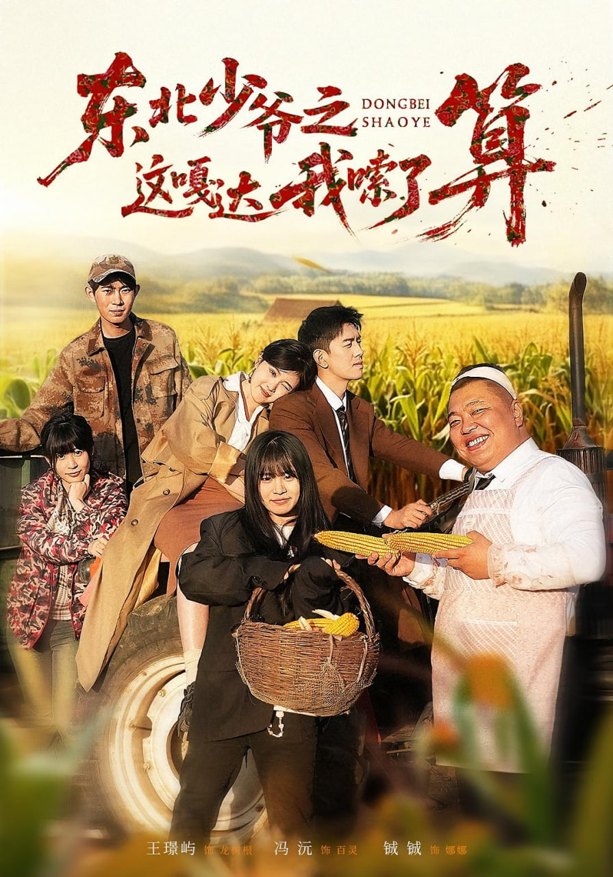 东北少爷之这嘎达我嗦了算